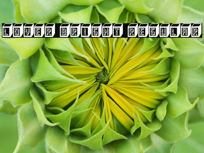 Lover Bright Regular Example 3