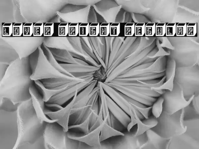 Lover Bright Regular Font examples