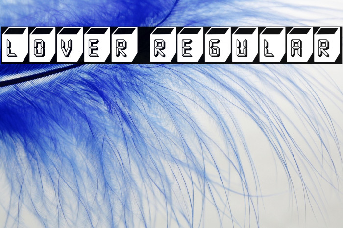 Lover Regular Example 2