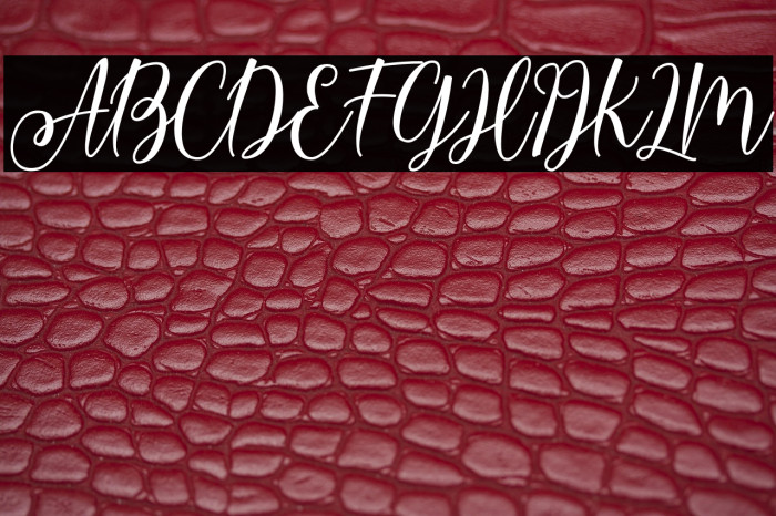 LoverBunnyPersonaluse-Script Example 1