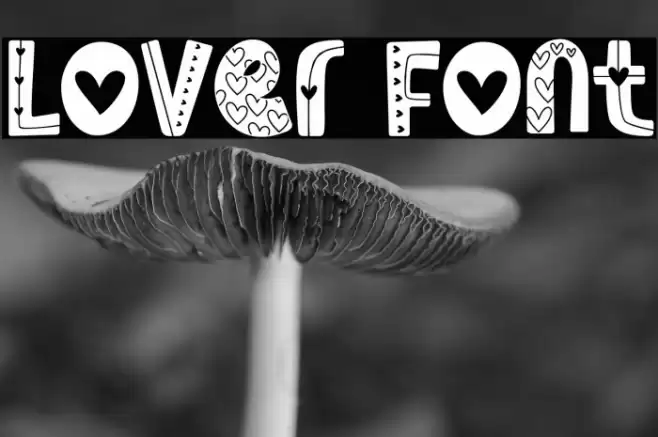 Lover Font examples