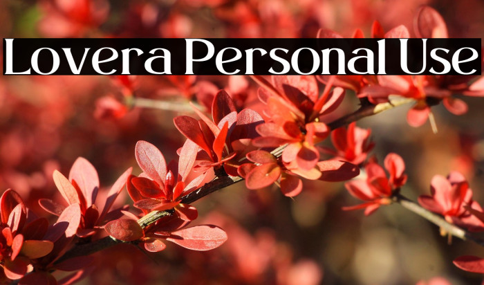 Lovera Personal Use Example 2