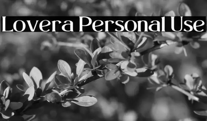 Lovera Personal Use Example 2