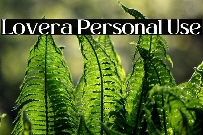 Lovera Personal Use Example 3
