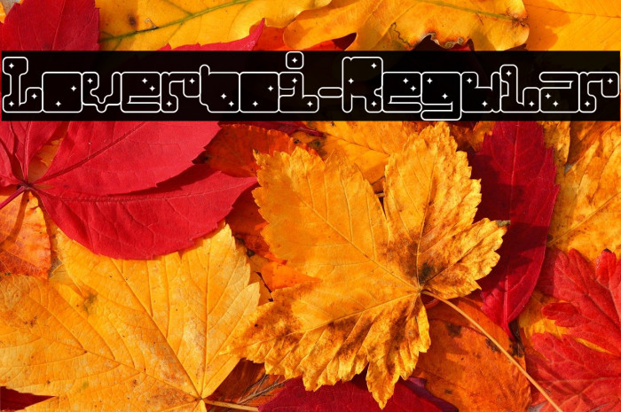 Loverboi-Regular Example 2