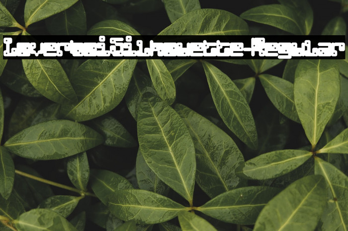 LoverboiSilhouette-Regular Example 3