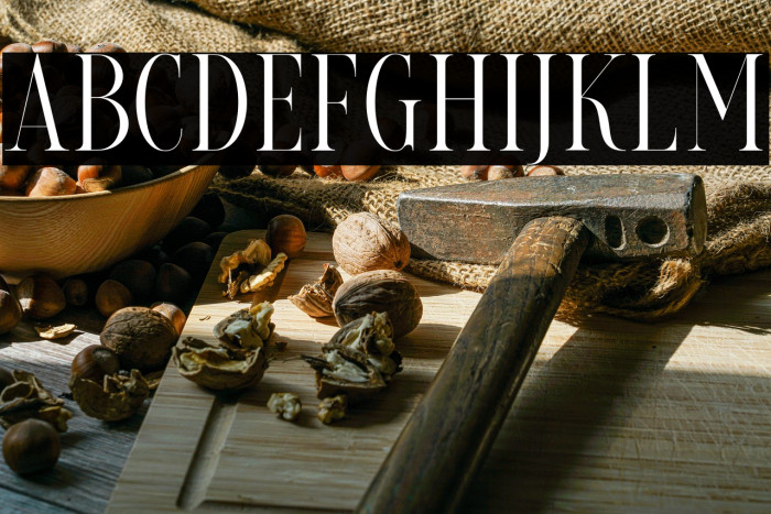 LovericaDEMO Example 3