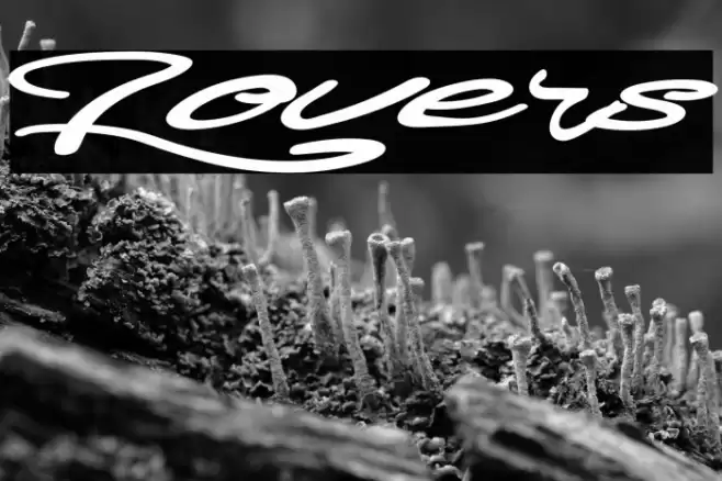 Lovers Font examples