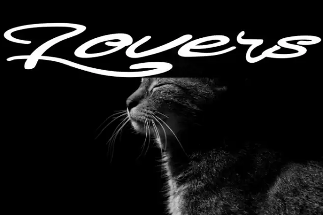 Lovers Font examples