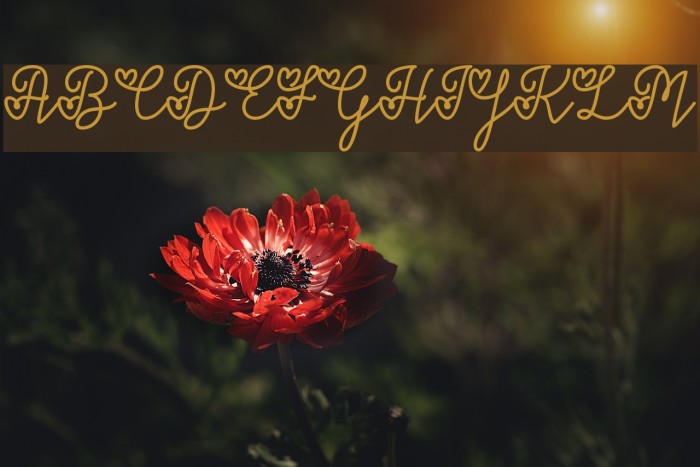 LoversinFebruary Font examples