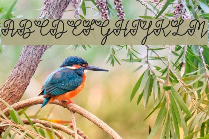 LoversinFebruary Font examples