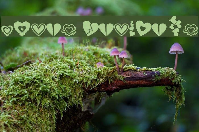 Loves DevineUS Example 1