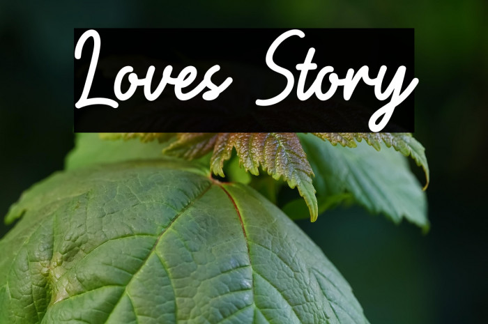 Loves Story Example 2