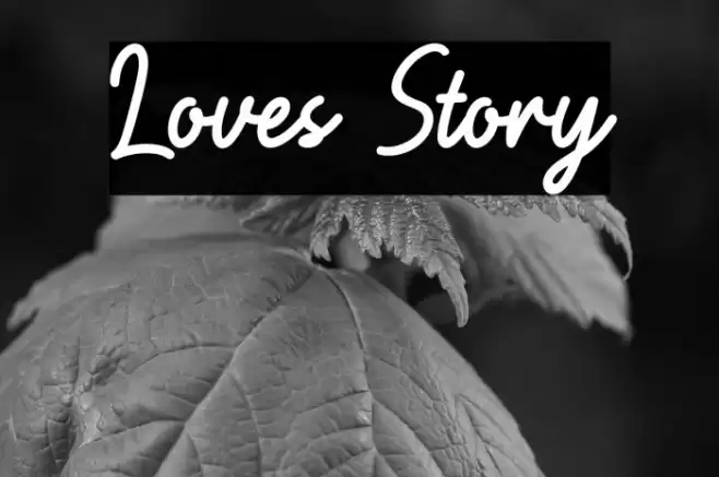 Loves Story Font examples