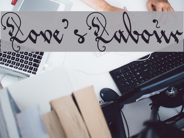 Love'sLabour Example 1