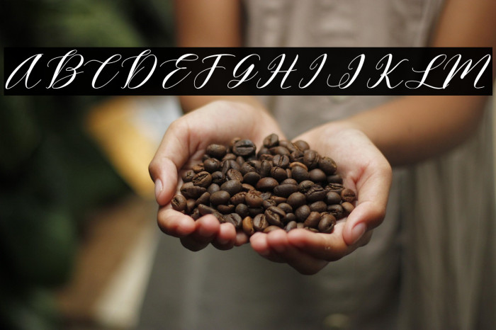 Lovescript Example 3