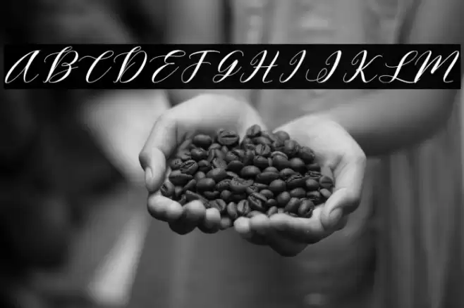 Lovescript Font examples