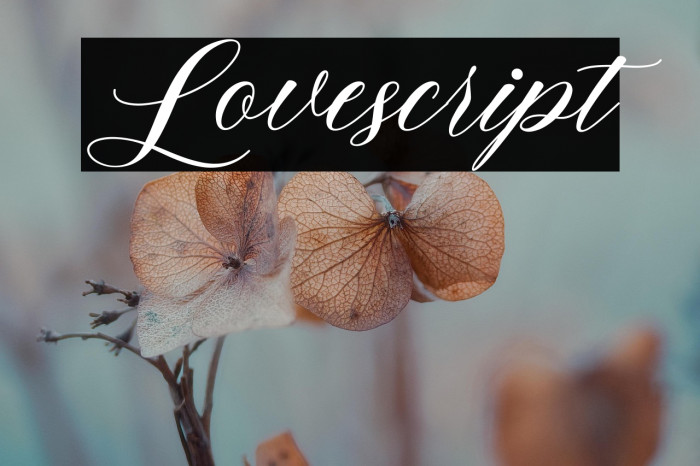 Lovescript Example 1