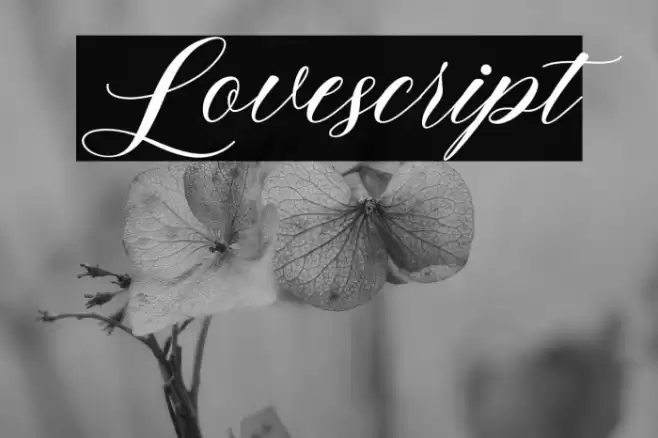 Lovescript Font examples