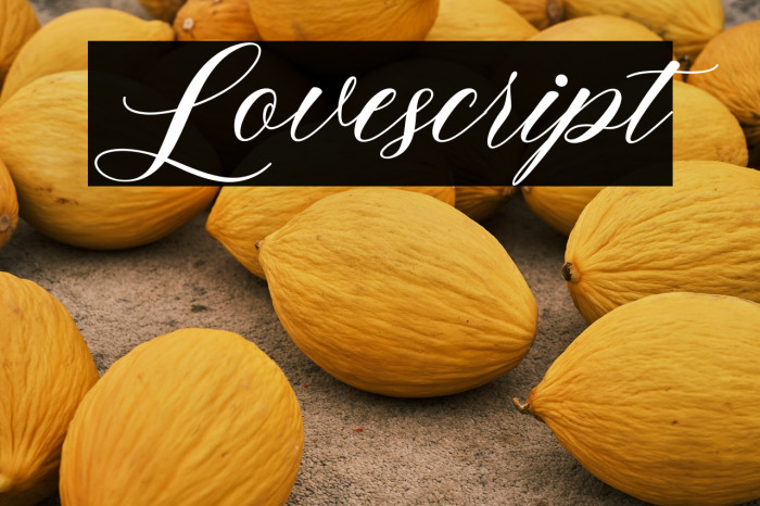 Lovescript Example 3