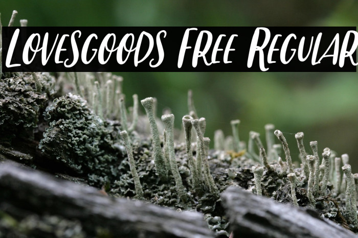 Lovesgoods Free Regular Example 1