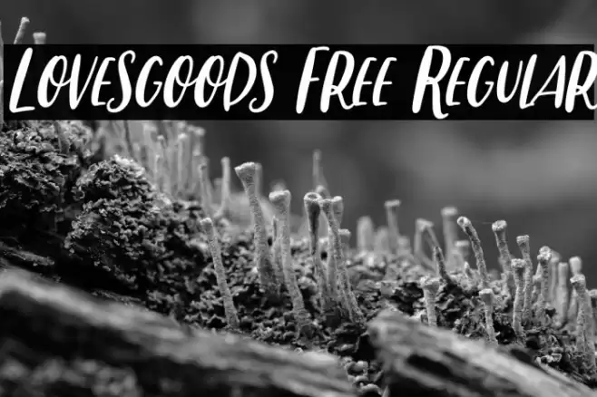 Lovesgoods Free Regular Font examples