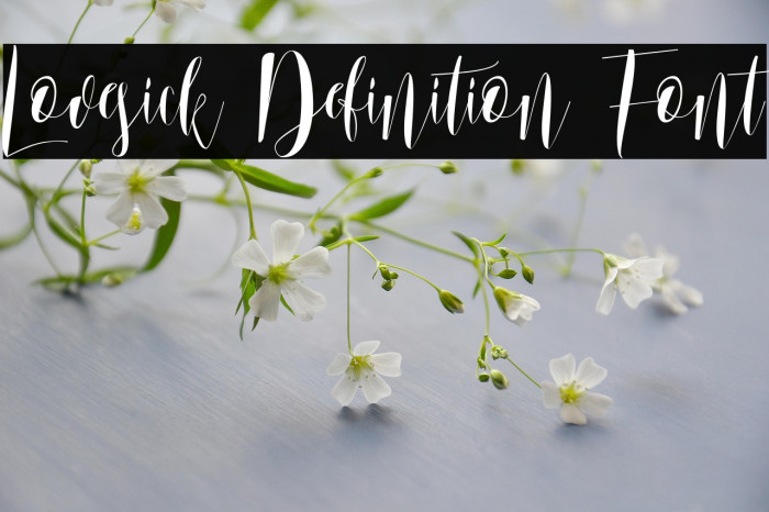 Lovesick Definition Font Example 3