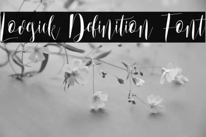 Lovesick Definition Font Font examples
