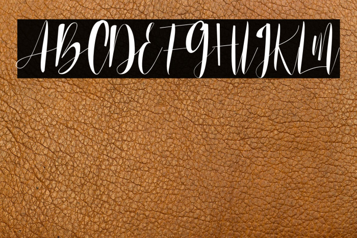 LovesickDefinitionFont-Regular Example 2
