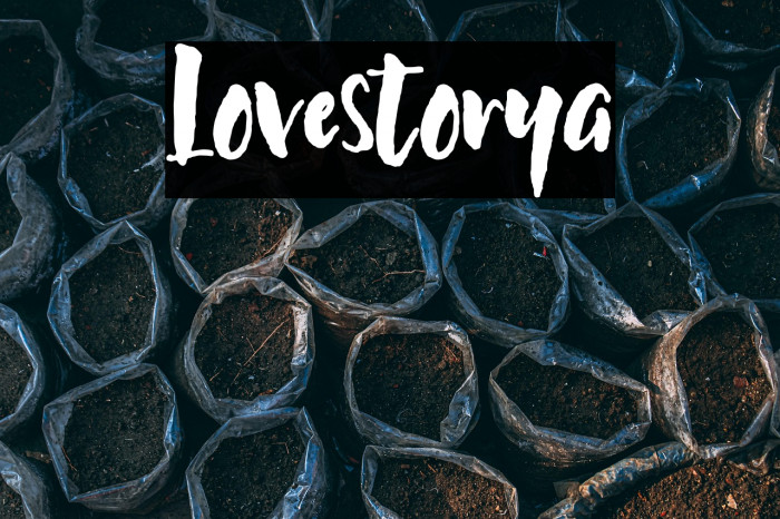 Lovestorya Example 1