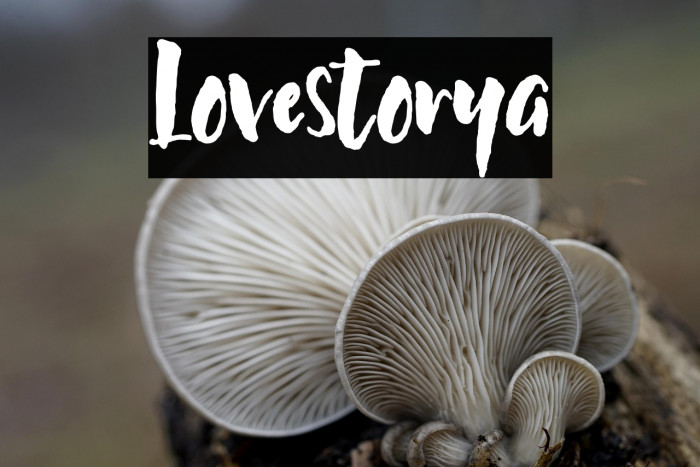 Lovestorya Example 3