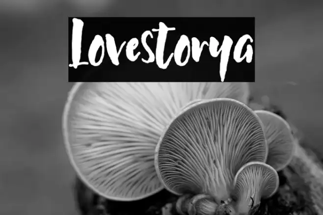 Lovestorya Example 3