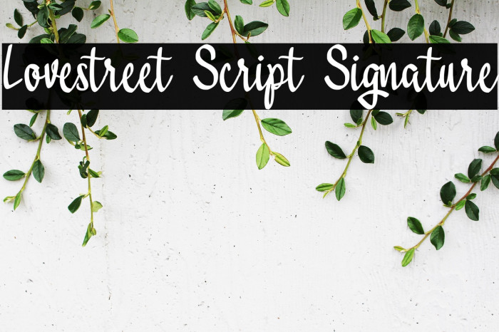 Lovestreet Script Signature Example 3