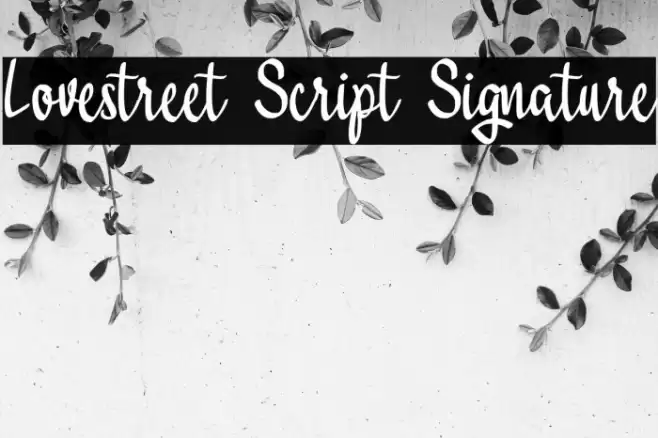 Lovestreet Script Signature Font examples