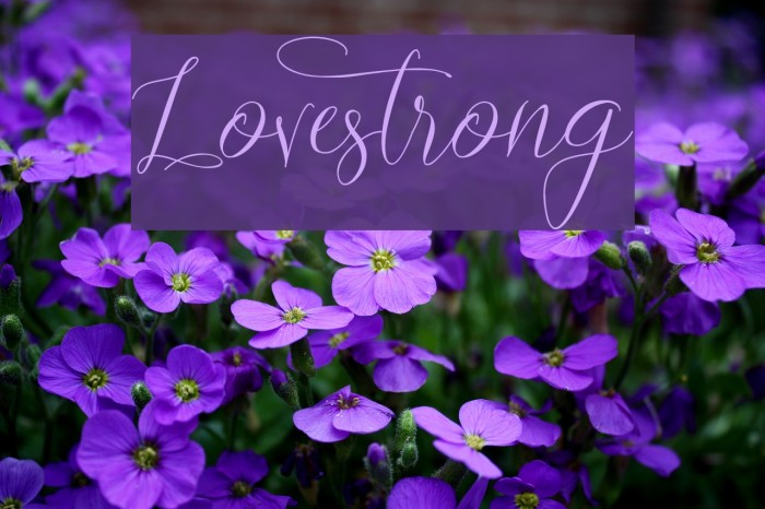 Lovestrong Font examples