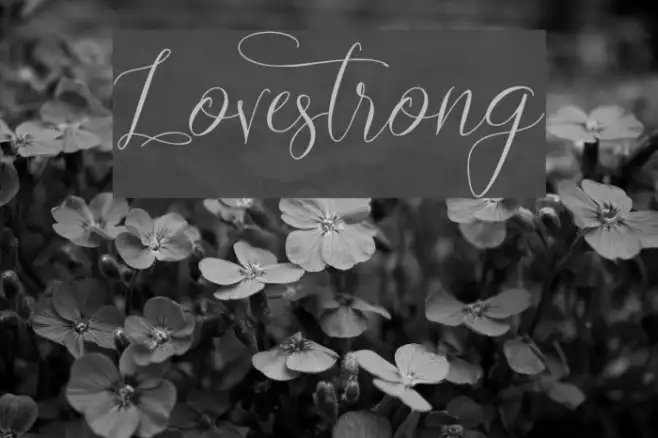 Lovestrong Example 1