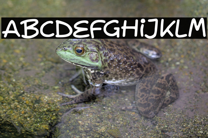 Lovey Doveys Example 1