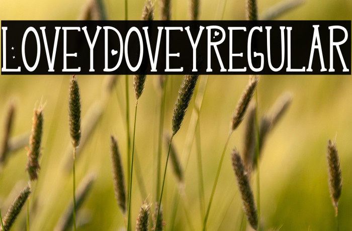 LoveyDovey-Regular Example 1