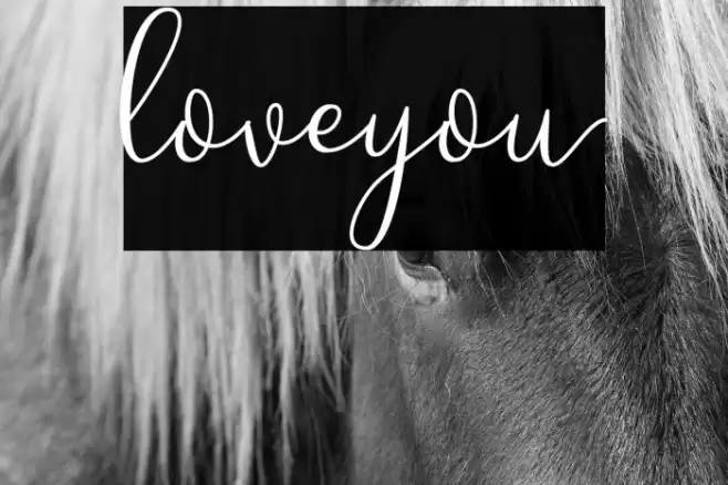 Loveyou Font examples
