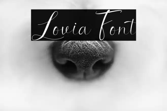 Lovia Font examples