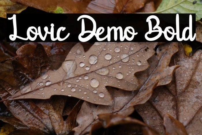 Lovic Demo Bold Example 1