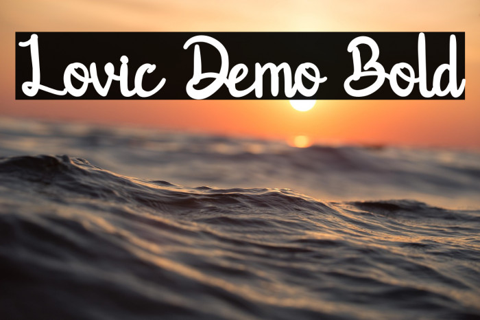 Lovic Demo Bold Example 2