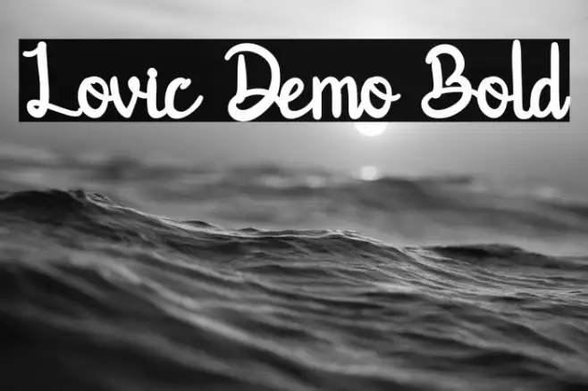 Lovic Demo Bold Example 2