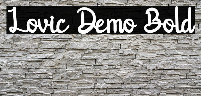 Lovic Demo Bold Example 3