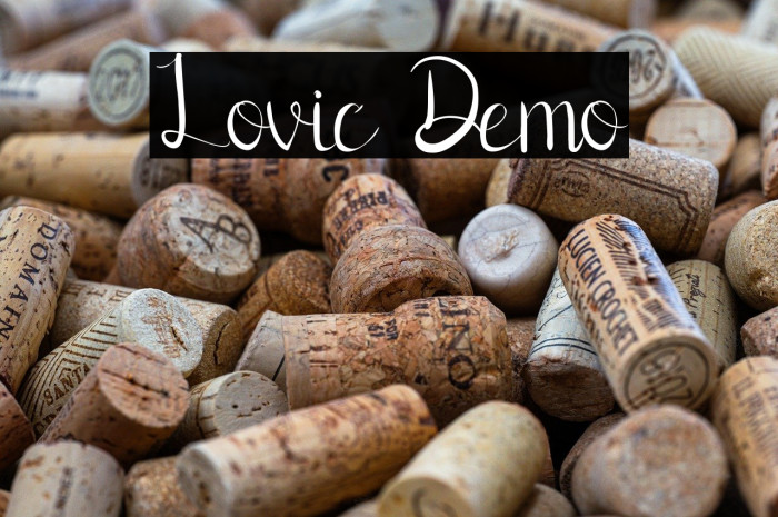 Lovic Demo Example 1