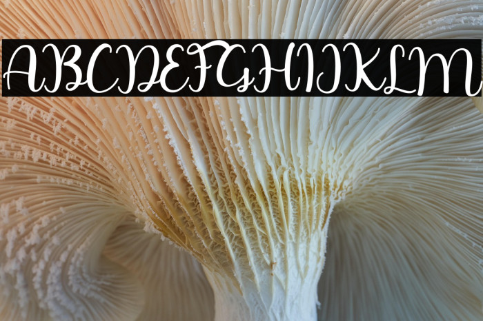 Lovin Florist Example 3