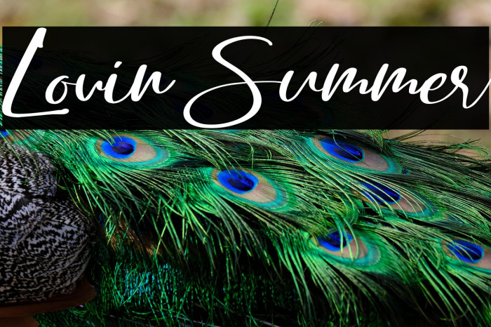 Lovin Summer Example 1