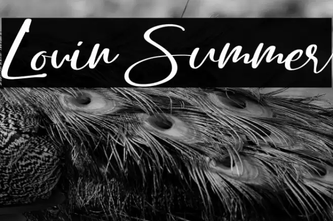 Lovin Summer Font examples