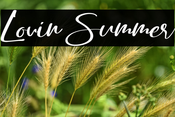 Lovin Summer Example 2