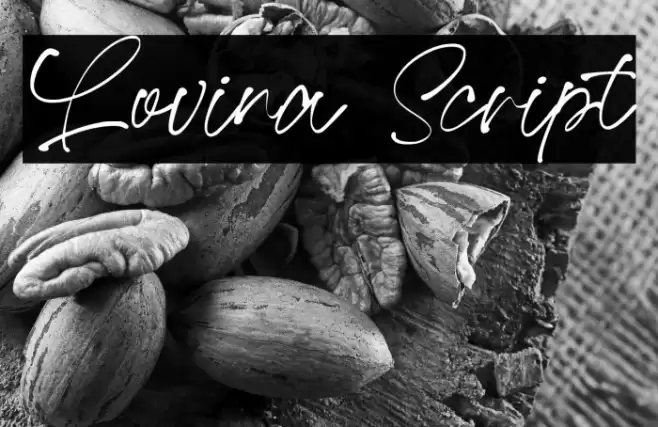 Lovina Script Font examples